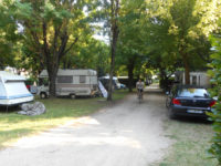 The camp-site pitches