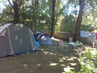 The camp-site pitches